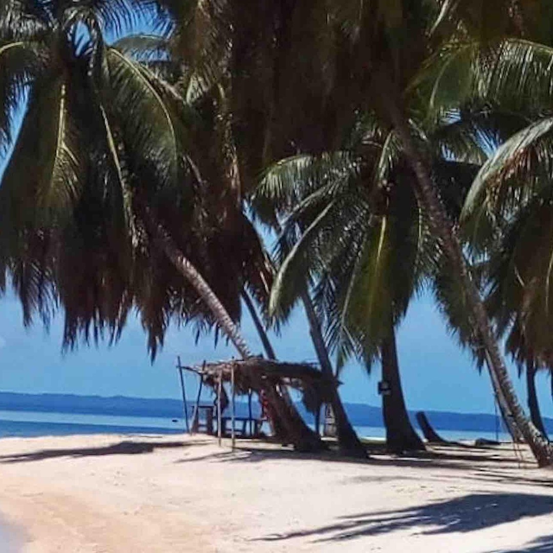 Galería de fotos para redes