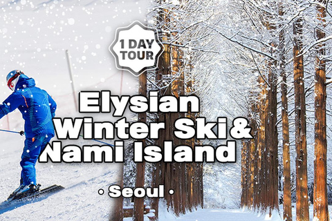 From Seoul: Elysian Gangchon Ski Tour with Nami Island Ski Package + Nami Island- Meeting at Hongik Univ. Station