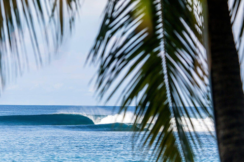 Stranden i Jaco Surfing i Costa Rica - Alla nivåer och åldrar