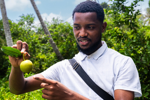 Zanzibar: Ilha de Mnemba e excursão à fazenda de especiarias, Jozani, The Rock