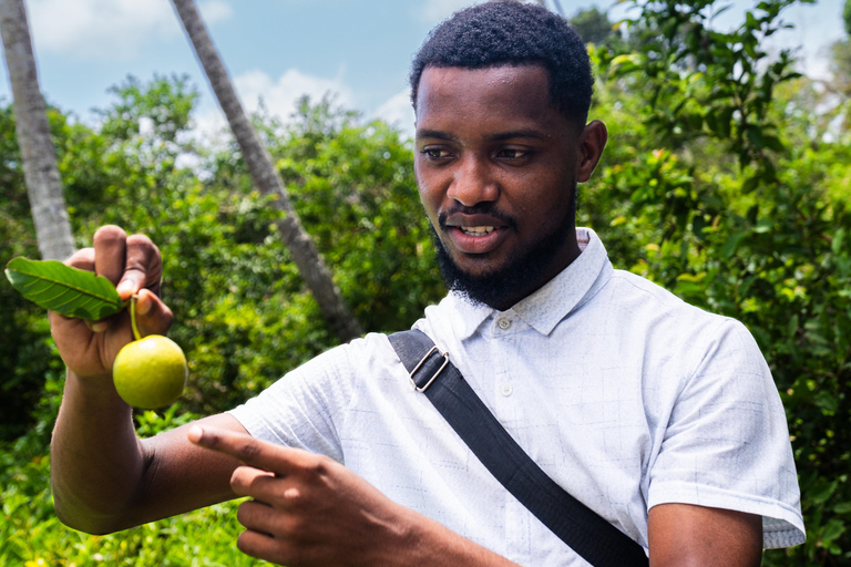 Zanzibar: Ilha de Mnemba e excursão à fazenda de especiarias, Jozani, The Rock