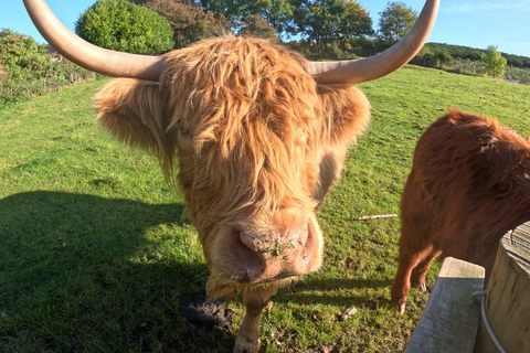 From Edinburgh: Highlands Land Rover Camping Adventure