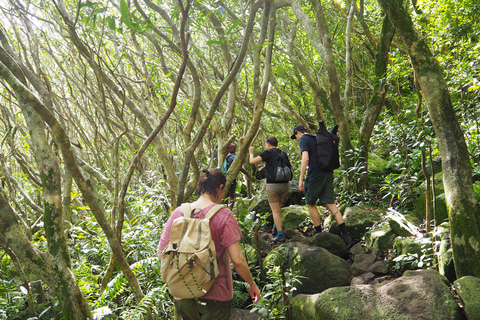 Die Naturwunder von Mauritius: Die 7 Wasserfälle + PicknickMauritius: Ein Naturwunder: Die 7 Wasserfälle von Mauritius