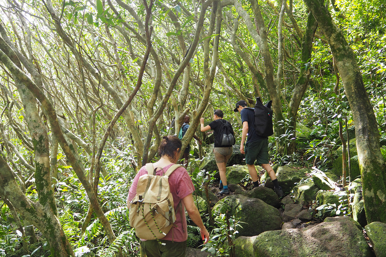 Las maravillas naturales de Mauricio: Las 7 Cascadas + picnicMauricio: Una Maravilla Natural: Las 7 Cascadas de Mauricio