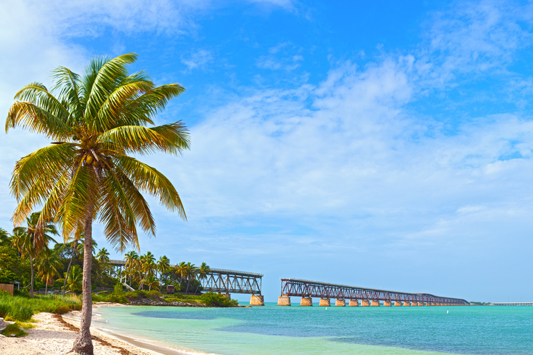 Flórida: Big Cypress, Everglades e Overseas Highway ...