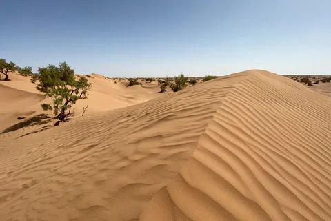 Agadir: 4×4 Jeepwoestijnsafari met lunch Tajin & couscous
