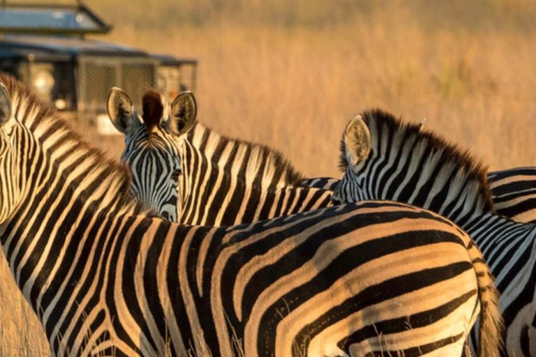 Vanuit Johannesburg: 15-daagse overlandtour naar Kaapstad