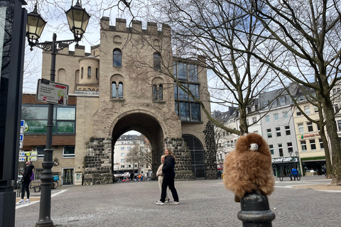 Tagestour Aachen &amp; Köln ab BrüsselLuxusauto