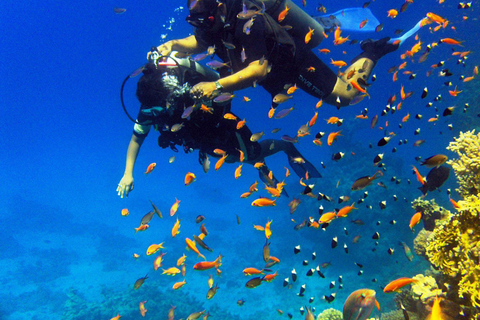 Sharm El Sheikh: Private Boat Trip Snorkeling & Diving