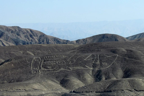 From Nazca: Guided tour of Pre-Inca aqueducts and Nazca Lines by land From Nazca: Guided tour of Pre-Inca aqueducts and the Nazca Lines by land