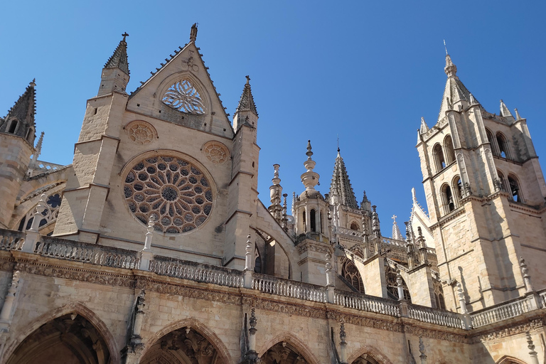 Visita guidata della Cattedrale di León