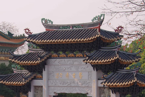 Guangzhou: Market, Ancient Town & Baomao Garden Private Tour Guide for English