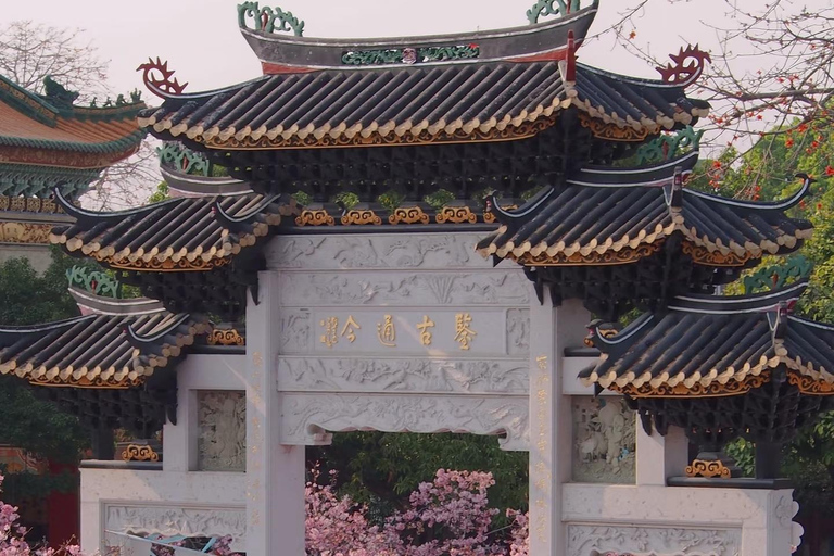 Guangzhou: Market, Ancient Town & Baomao Garden Private Tour Guide for English