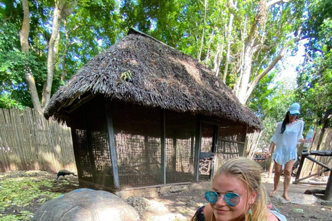 Zanzibar: Prison Island & Stone Town Half-Day Tour Hotel Transfers included ( prison fees 12 USD Pp excluded)