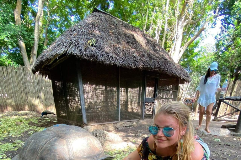 Zanzibar: Prison Island & Stone Town Half-Day Tour Hotel Transfers included ( prison fees 12 USD Pp excluded)