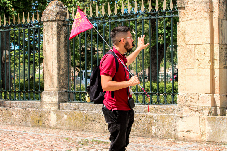 De Madri: Viagem de 1 dia com guia para Segóvia, Alcázar opcionalExperiência em Segóvia