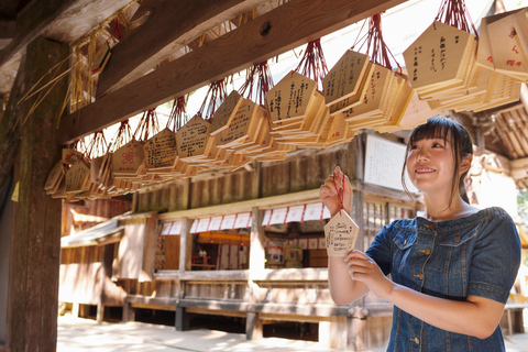 Tokyo: Mount Fuji Private Customizable Tour In Luxury Van