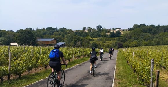 Bordeaux mit dem Gravelbike: Sehenswürdigkeiten, Weinberge und Weinverkostung