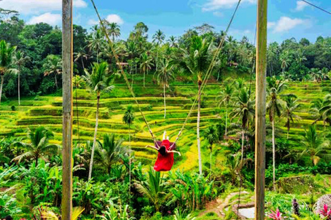 Ubud: Private Car Charter with Entry Fees Ubud Customizable Tour