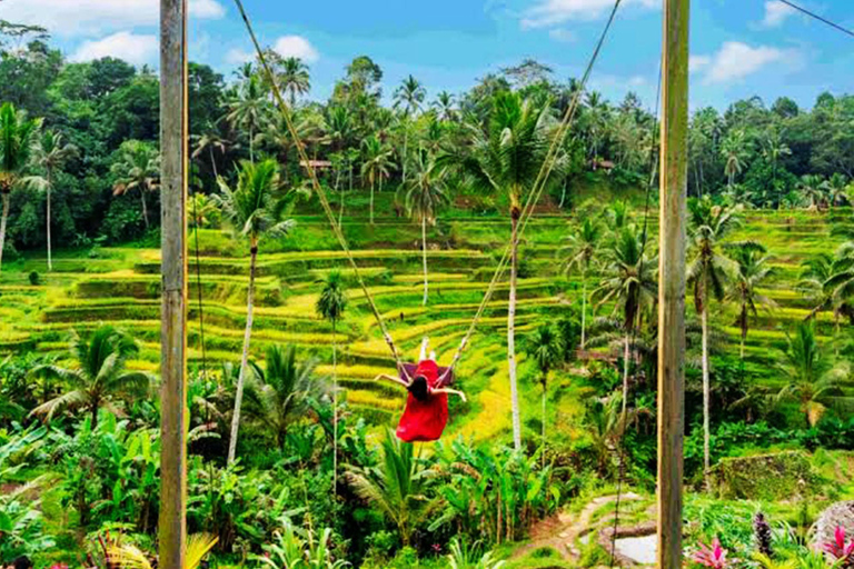 Ubud: Private Car Charter with Entry Fees Ubud Customizable Tour