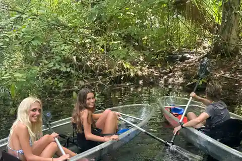 Silver Springs: Guided Clear Kayak or Paddleboard Gator Tour