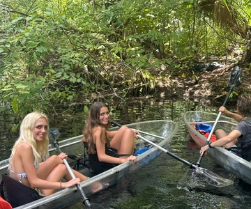 Silver Springs: Guided Clear Kayak or Paddleboard Gator Tour