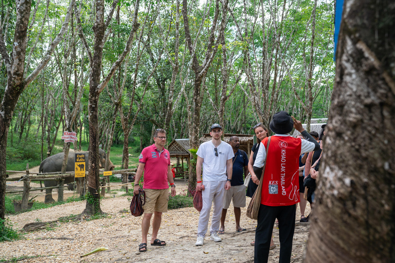 Khao Lak’s Best: Elephant Sanctuary,Rubber Tapping&Waterfall Khaolak Elephant Sanctuary Guided Tour with Hotel Transfers