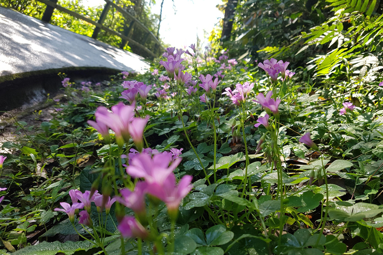 Iguassu Total Experience