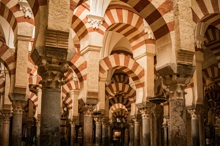 Cordoba: Rondleiding Moskee-Kathedraal en Joodse wijk