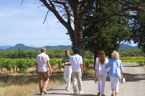 Da Fréjus: escursione in pulmino nel cuore dei vigneti provenzali