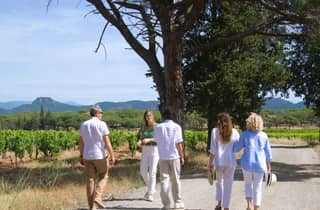 Von Fréjus: Ausflug mit dem Van durch die Weinberge der Provence