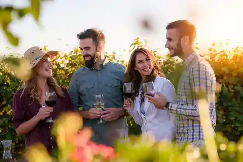 Hunter Valley: Wine, Chocolate and Lunch All Inclusive Tour
