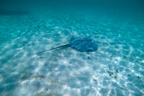 Buccoo Reef and Nylon Pool Adventure