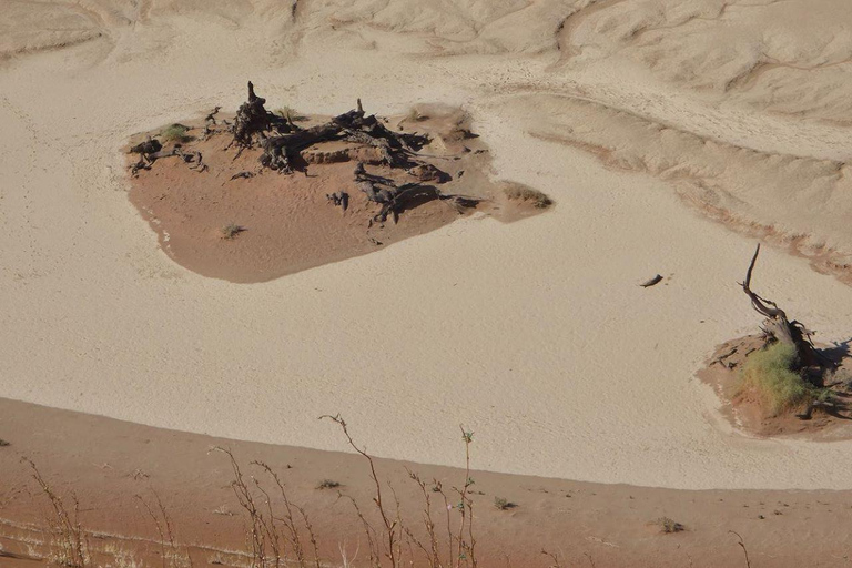 From Swakopmund: 2-Day Sossusvlei Scenic Journey (1 Night)