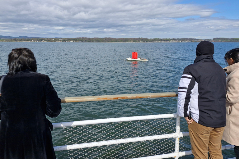 Queensferry: Crociera nel castello di Firth of Forth BlacknessTour in barca di Forth Partenza da Port Edgar Marina