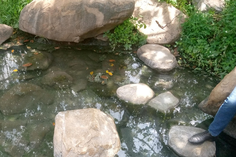 Uganda: Northern Uganda Culture & History Tour