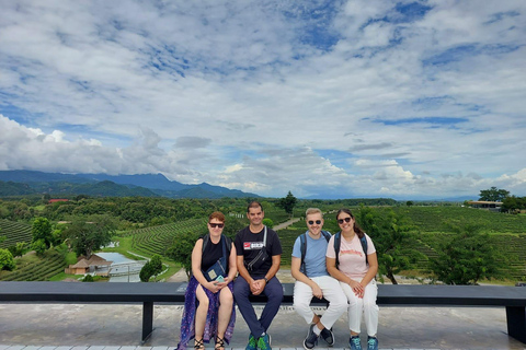 Chiang Rai: Top Temples & Signature Attractions ~Free Buffet