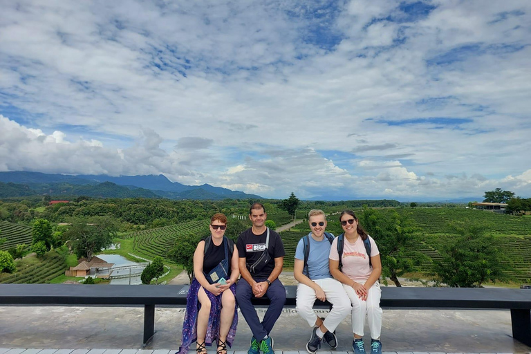 Chiang Rai: Top Temples & Signature Attractions ~Free Buffet