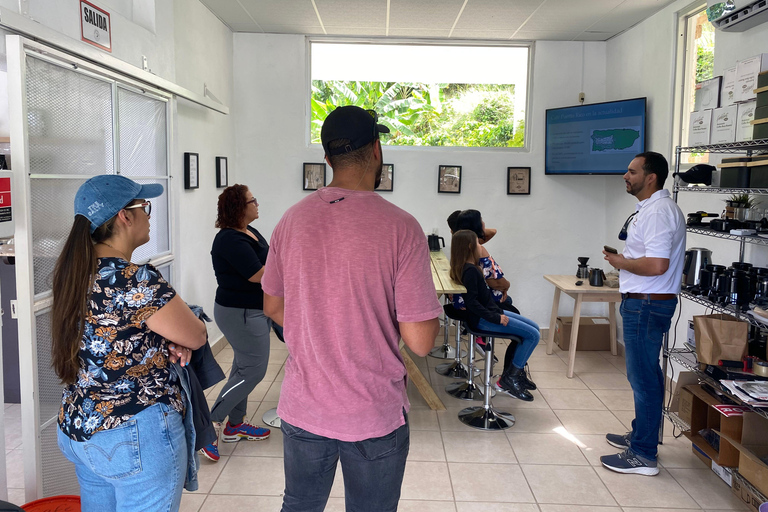 Jayuya : Visite et atelier sur le café à l'Hacienda Prosperidad