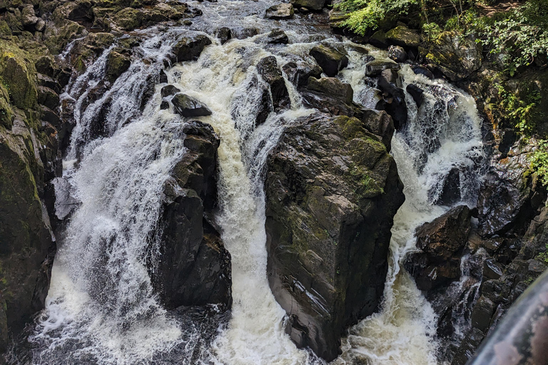 Scone Palace, Nature Walk and Whisky Experience Private Tour