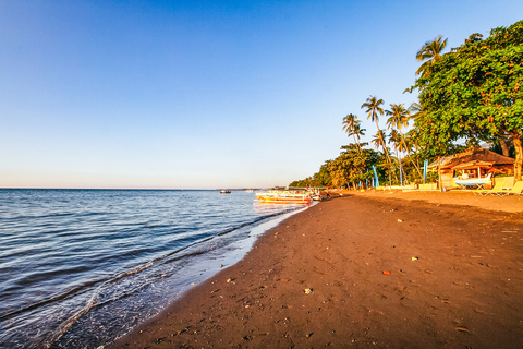 Bali Nord: tour all&#039;alba con delfini, templi e cascateOpzione privata premium