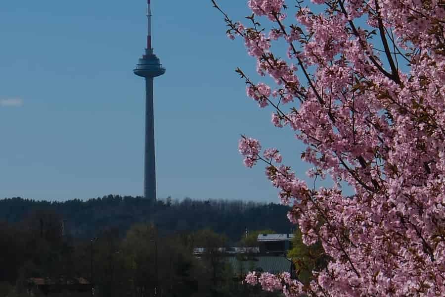 Vilnius: Walk-on-the-Edge-Balanceakt am Fernsehturm. Foto: GetYourGuide Vilnius: Walk-on-the-Edge-Balanceakt am Fernsehturm. Foto: GetYourGuide