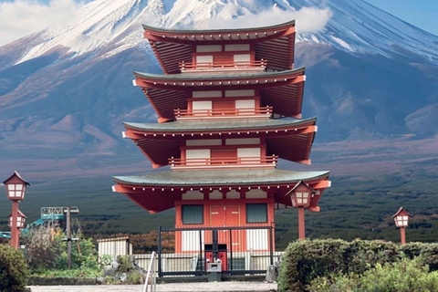 Tokyo: Mt. Fuji Customizable & Private Tour With Chauffeur Tokyo: Mt. Fuji Customizable & Private Tour With Chauffeur