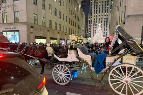 NYC: Central Park Christmas Lights Horse-Drawn Carriage Ride