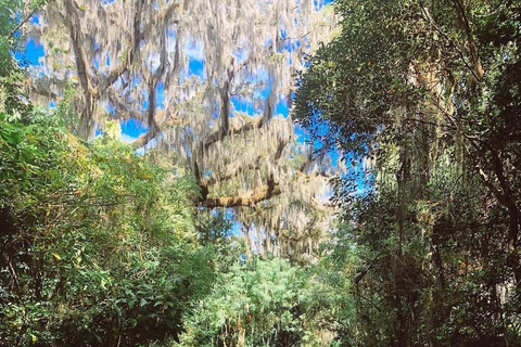 Winter Park: Clear Kayak Tour on Chain of Lakes