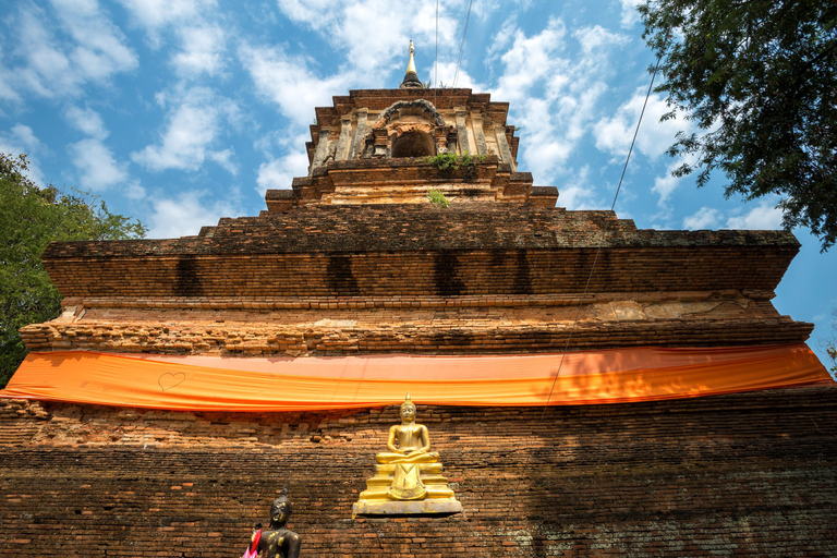 Tour privado Chiang Mai Descubre la Gema Oculta de los Templos del NorteDescubre Chiang Mai : Desvelando los encantos de los templos del norte