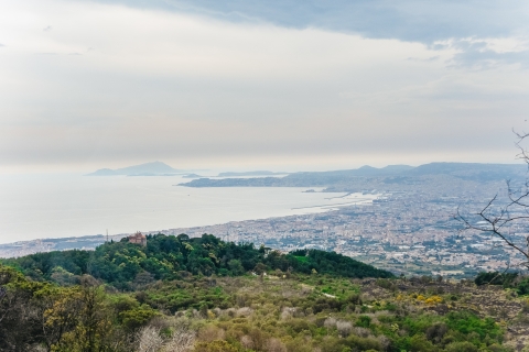 From Naples: Pompeii Ruins & Mount Vesuvius Day Tour Tour in English Live Guide with Hotel Pickup