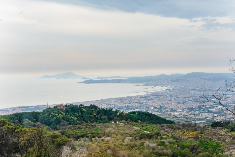 Vanuit Napels: dagexcursie naar Pompeii en de VesuviusRondleiding met gids in het Italiaans - ophaalservice Centraal Station