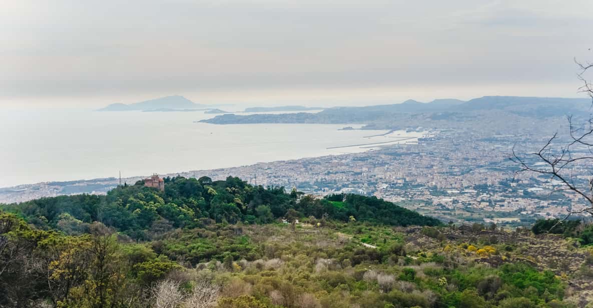 Afbeelding 30 van Vanuit Napels: Pompeii ruïnes & Mount Vesuvius Dagtour
