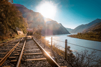 Seoul, Gangwon-Do-Tagesausreise mit Alpaka World & Nami Island - Housity